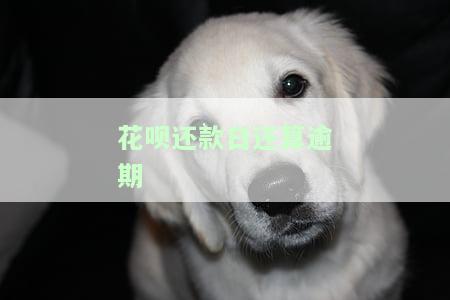 花呗还款日还算逾期-花呗还款日还算逾期吗