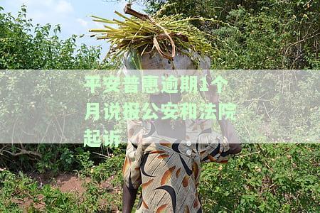 平安普逾期一个月说要起诉我是真的吗，平安普：逾期一个月是否会被起诉？真相大揭秘！