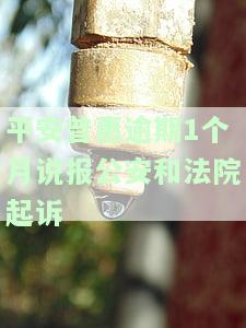 平安普逾期一年多了，48小时内会起诉我吗？
