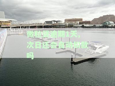 微粒贷逾期1天还了有影响吗，关于微粒贷逾期1天还款的影响，你需要了解这些信息！