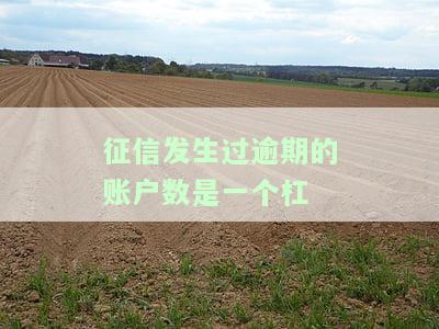 征信报告发生过逾期账户数1个，你的征信报告出现了一个逾期账户，需要注意了！