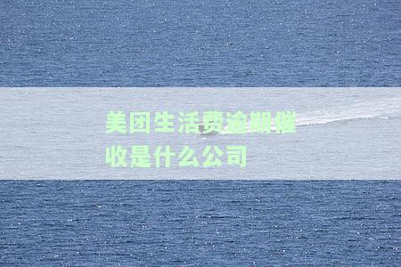 美团生活费逾期催收是什么公司