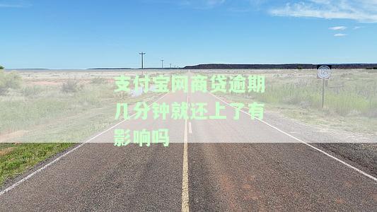 支付宝网商贷逾期一天影响大吗？可能会对信用记录产生影响，应及时处理。