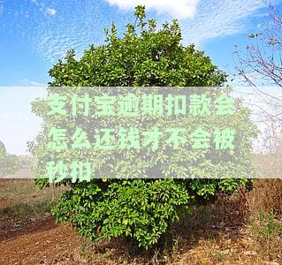 支付宝逾期强行扣款算违法吗？如何处理？