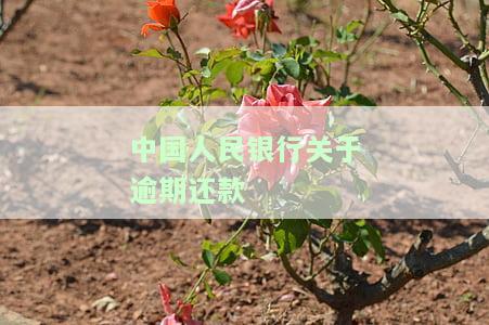 中国人民银行关于逾期付款的规定：最新文件、违约金与利息详解