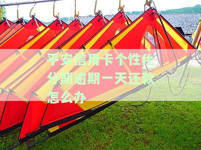 平安信用卡个性化分期逾期一天还款处理方法及影响，能否申请减免？