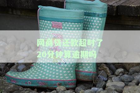 网商贷还款超时20分算逾期吗？原因及解决方法