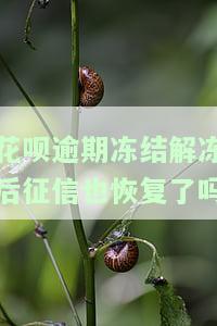 花呗严重逾期解冻成功的，成功解决！花呗严重逾期后如何解冻账户？