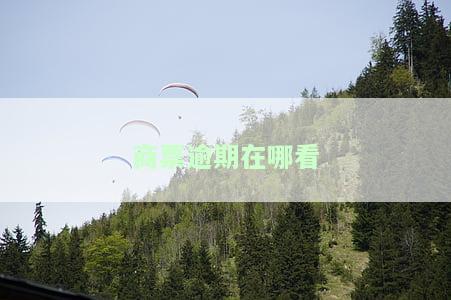 商票逾期查询：官网、软件及出票方查找方法全攻略