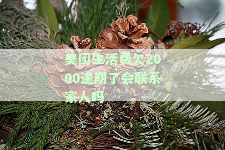 美团生活费逾期了会给家属打电话吗，美团生活费逾期：是否会通知家属？