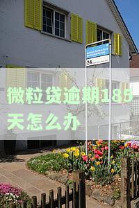 2020微粒贷逾期80天，逾期警示：微粒贷用户需警惕，80天未还款或引发严重后果！