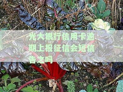 征信有逾期光大银行信用卡好下吗，光大银行信用卡：征信有逾期是否会影响申请？