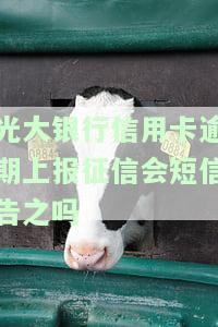 光大银行贷款逾期,会影响光大信用卡吗，光大银行贷款逾期是否会影响光大信用卡？
