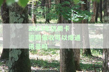 2020年信用卡催收，应对2020年信用卡催收：策略与建议