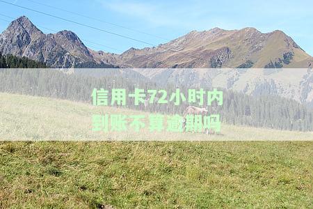 信用卡72小时内到账不算逾期吗，信用卡72小时内到账是否算逾期？