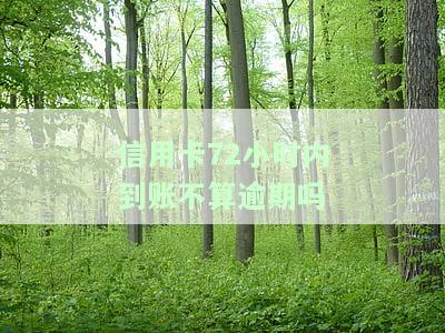 信用卡72小时内到账不算逾期吗