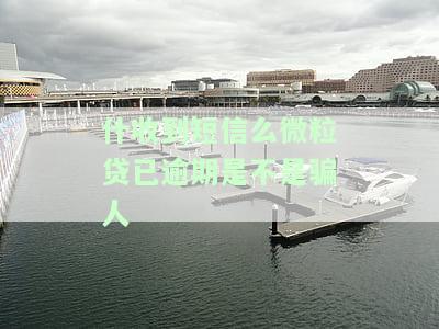 收到朋友微粒贷逾期短信，朋友微粒贷逾期，收到提醒短信该如何处理？