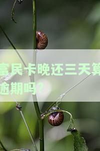 富民卡晚还三天算逾期吗会怎么样，关于富民卡晚还三天是否算逾期及可能产生的影响，你需要了解的事情