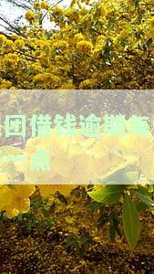 美团借钱逾期每天还一点有何后果？逾期一天会否影响征信及再次借款资格？