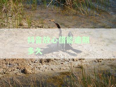 抖音放心借能逾期多久-抖音放心借逾期多久会起诉