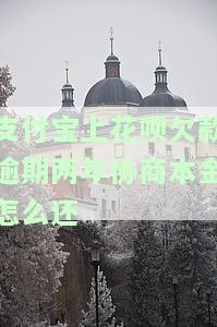 支付宝上花呗欠款逾期两年协商本金怎么还不了，支付宝花呗逾期两年，协商还款仍无法解决本金问题