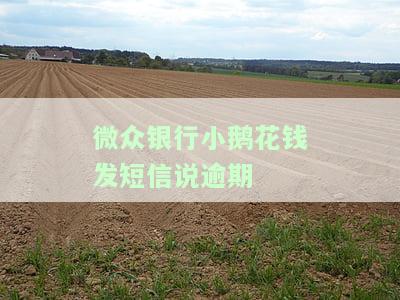 微众银行小鹅花钱发短信说逾期如何处理？是否有宽限期、会影响通讯录吗？逾期是否会导致坐牢？审核需要多长时间？