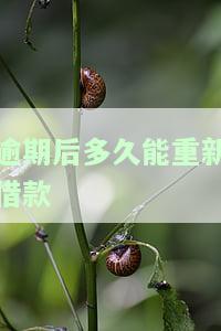 逾期后多久能重新借款啊，逾期后多长时间可以再次申请借款？