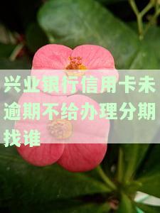 兴业银行信用卡未逾期不给办理分期，如何解决？逾期后不同意分期还款怎么办？