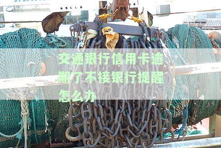 交通银行信用卡逾期解决方法：协商还款、处理步骤全解析