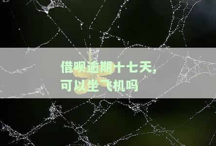 借呗逾期十七天，能否乘坐飞机？对出行有影响吗？