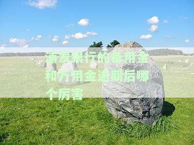 浦发银行的备用金和万用金逾期后哪个害点，浦发银行：备用金与万用金逾期后的比较，哪个更严重？