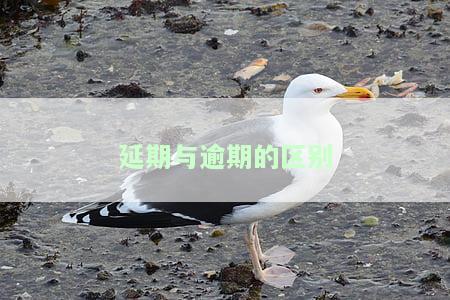 期和逾期的区别，期与逾期：理解两者之间的区别