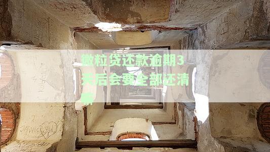微粒贷还款逾期3天后是否需要全部还清？影响再次借款及额度的因素是什么？
