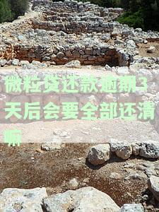 微粒贷还款逾期3天后会要全部还清吗？影响再次借款和额度吗？