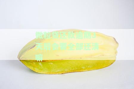 微粒贷逾期3天还款后还能再借吗？影响大吗？已还清能否继续借款？