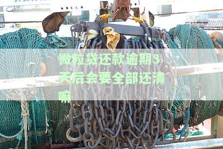 微粒贷还款逾期3天后会要全部还清嘛-微粒贷还款逾期3天后会要全部还清嘛