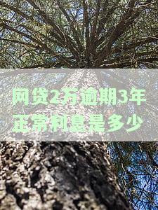网贷借款两万逾期一年，利息多少？是否会坐牢？
