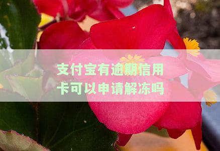 支付宝逾期信用卡能否解冻？安全可靠吗？影响贷款吗？