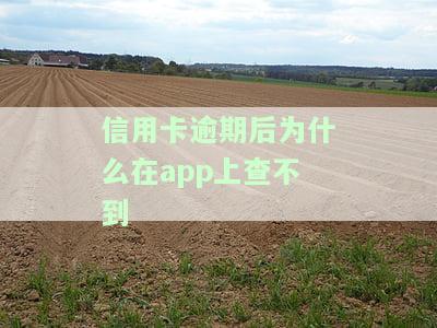 信用卡逾期后为什么在上查不到-信用卡逾期后为什么在上查不到还款记录
