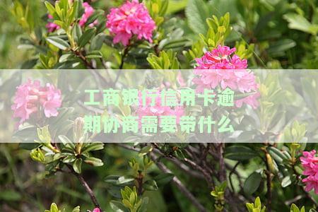 工商银行信用卡逾期协商需要带什么