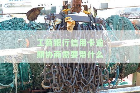工商银行信用卡逾期协商需要带什么