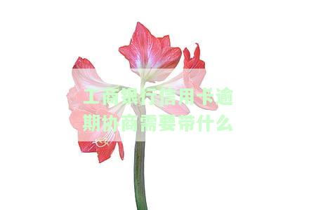 工商银行信用卡逾期协商需要带什么