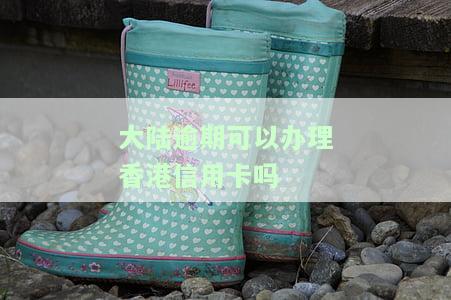 大逾期可以办理香港信用卡吗-大逾期可以办理香港信用卡吗知乎