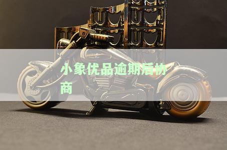 小象优品逾期后协商还款：影响、流程与可能结果