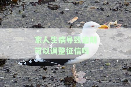 家人生病导致逾期可以调整征信吗
