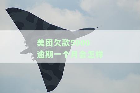 美团欠款5000逾期一个月会怎样