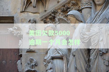 美团逾期几千块，一个月会有何影响？是否会被告上法庭？逾期6000元会被起诉吗？