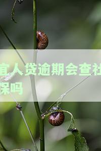 宜人贷逾期会查社保吗，宜人贷逾期：是否会查询你的社保记录？