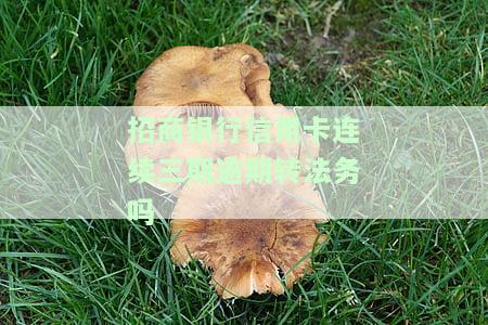 招商银行逾期三年还能分期还款吗？如何操作？协商可能性大吗？