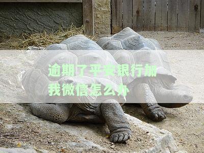 逾期了平安银行加我微信怎么办？真的要走法律程序吗？